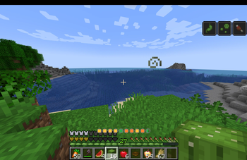 Cactus damage