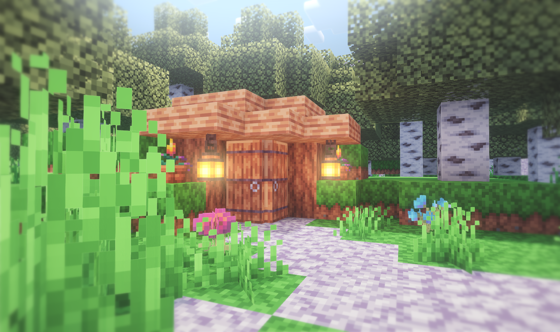 A cute base in a birch forest