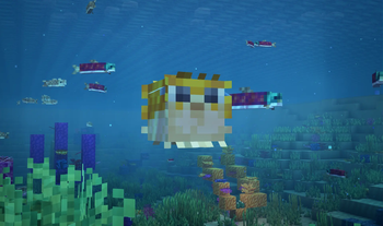 Ocean