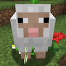 SoloSheep