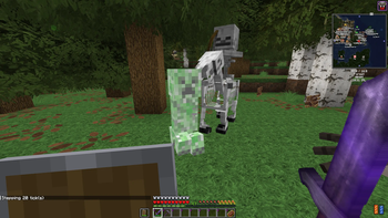 Blocks all damage