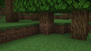 Roots