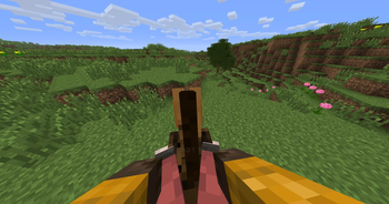 riding horse