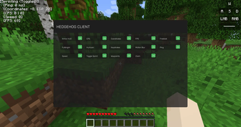 Hedgehog Client