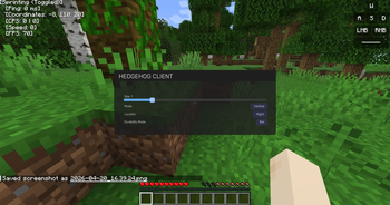 Hedgehog Client