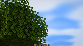 Leaves