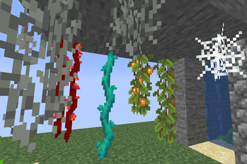 Vines and cobweb
