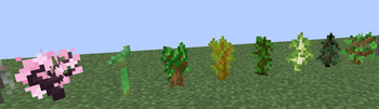 Saplings