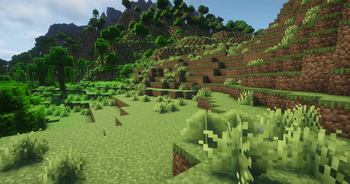 moore grass