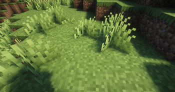 GRASS!
