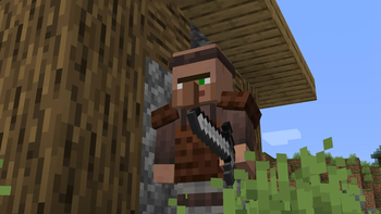 Guard Villager