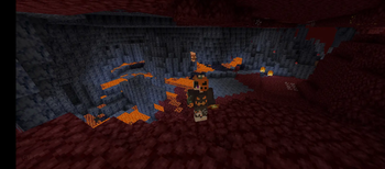 Nether