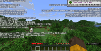 Minecraft Vannila Performance.26.2. ~80 fps