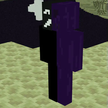 image of noli's model
