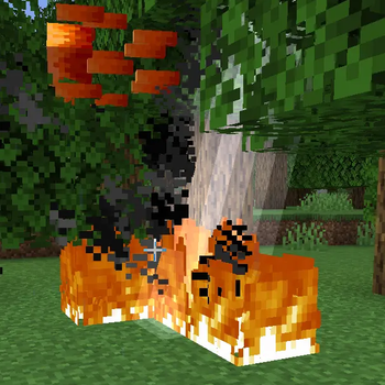 Custom Ability