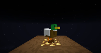 Duck