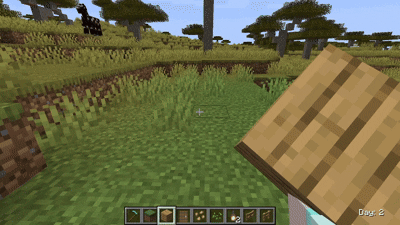 fresh block animation 1.0 direction