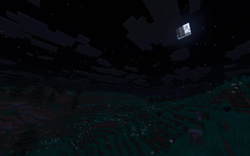 Starry Night Skies