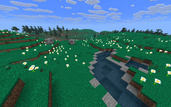 Small Ponds and Rocks