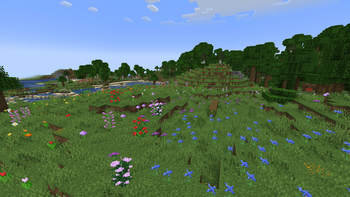 Flower Field & Flower Forest