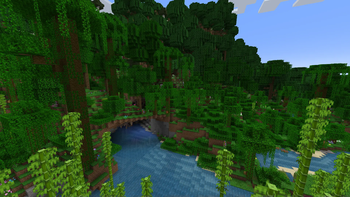 Updated Jungle near Rainforest