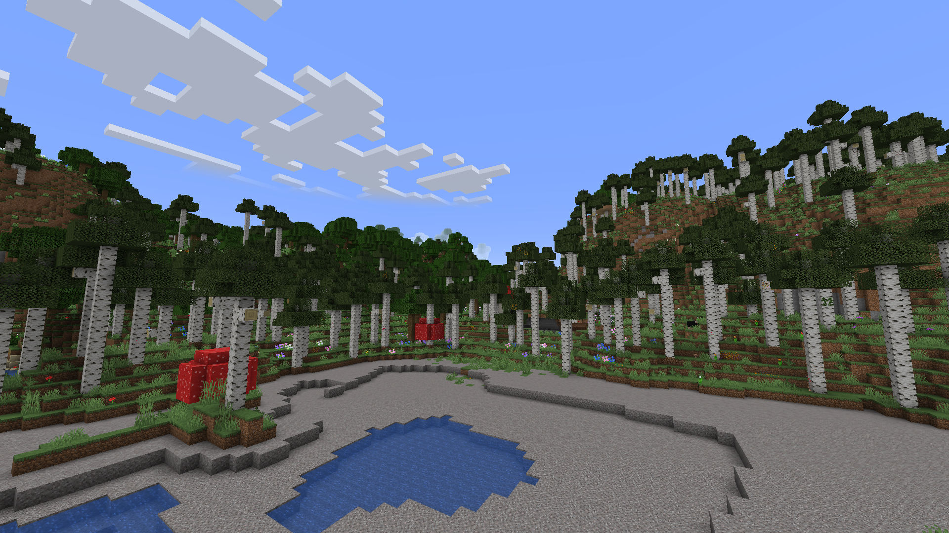 Updated Birch Forest with Beta Beaches