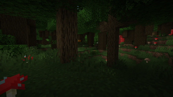 Updated Dark Forest