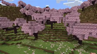 Minecraft But the Overworld is a Cherry Grove