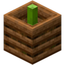 Compostable Bamboo