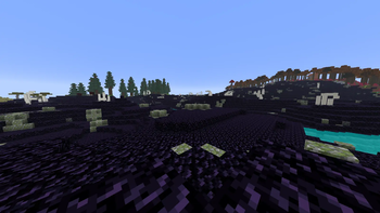 Preview 6