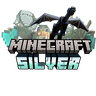 Minecraft Silver