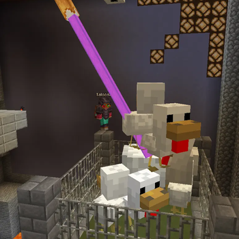 Cloned chicken farm