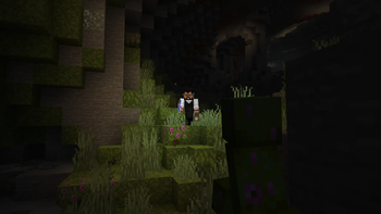 Cave