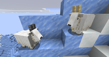 Screaming Goat & Regular Goat