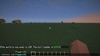 Whitelist Command