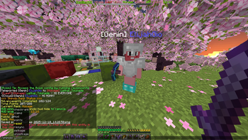 Admin Commands Overview