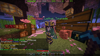 Player View & Nameplates
