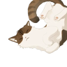 ChouChiu