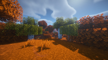 Oak and Birch trees!