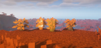 Saplings