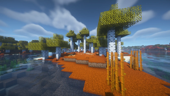 A birch biome 2!