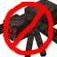 No Spiders