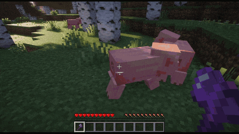 Pigs