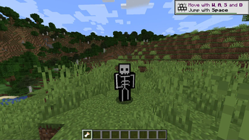 Skeleton Costume