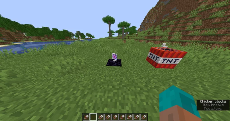 The remove end crystal and Tnt (2/4)