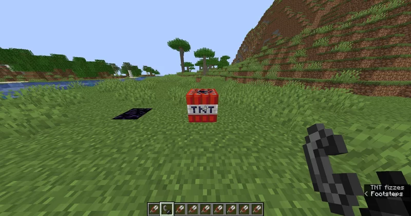 The remove end crystal and Tnt (3/4)