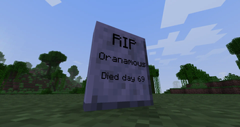 Polished Diorite Gravestone