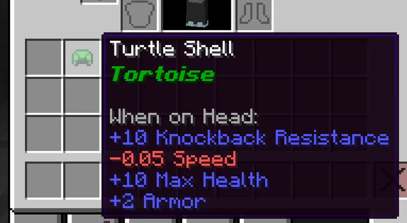 Turtle Shell