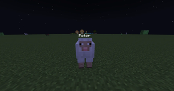 Baa! ft. Peter