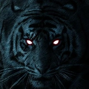 BlackTiger
